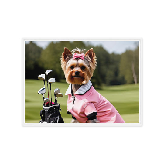 Yorkshire Terrier Golfer- Framed canvas v2