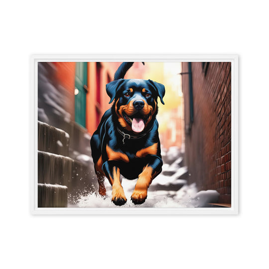 Rottweiler- Framed canvas v2