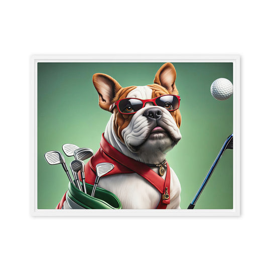 Bulldog Golfer- Framed canvas