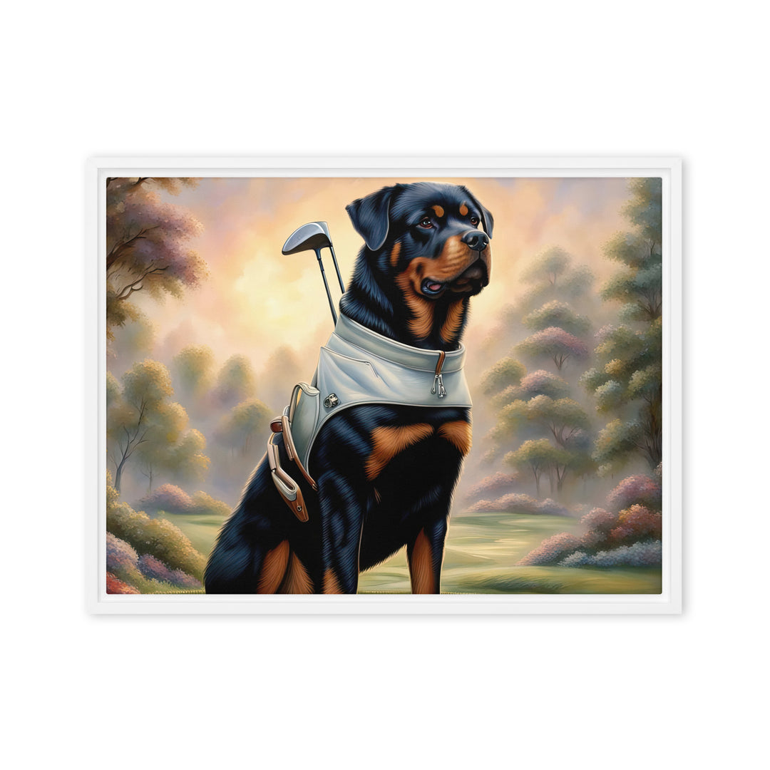 Rottweiler Golfer- Framed canvas v2