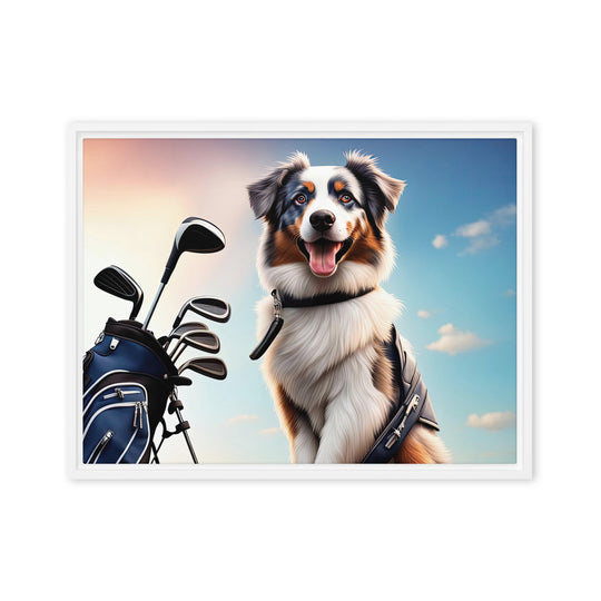 Australian Shepherd Golfer- Framed canvas