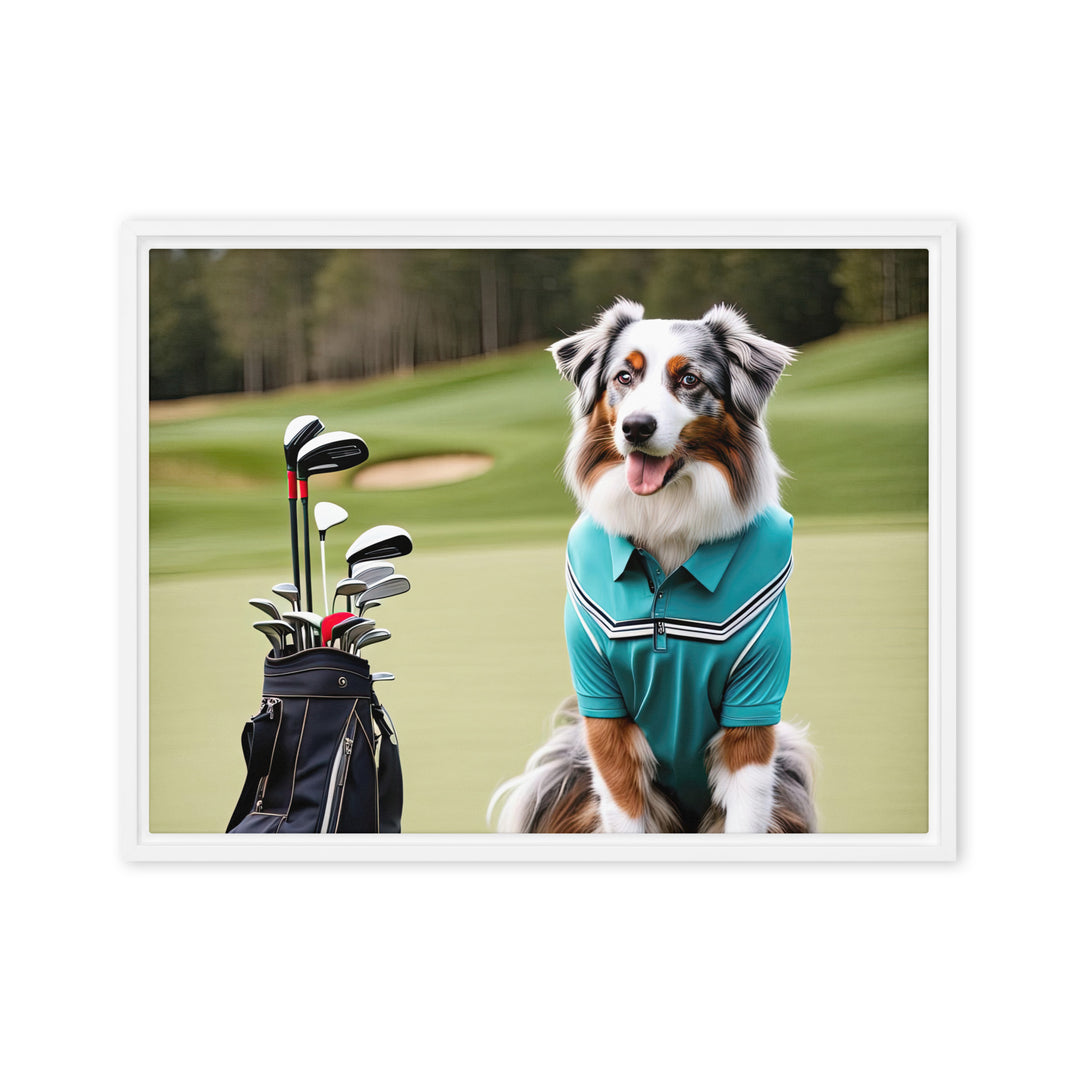 Australian Shepherd Golfer- Framed canvas v4