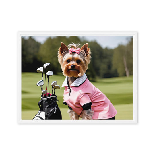 Yorkshire Terrier Golfer- Framed canvas v2