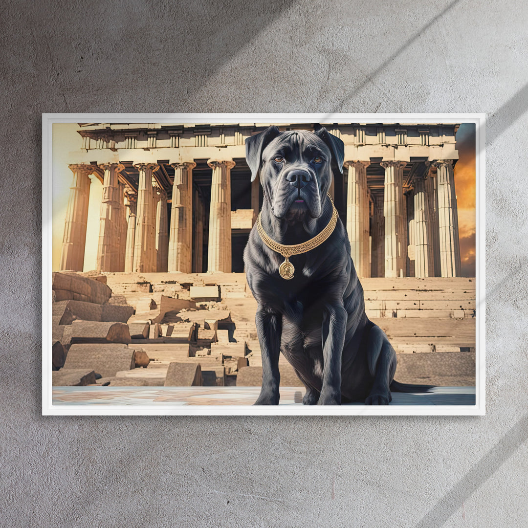 Framed canvas-Cane Corso