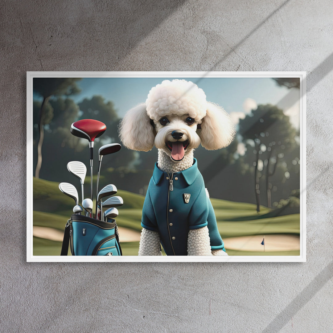 Poodle Golfer- Framed canvas
