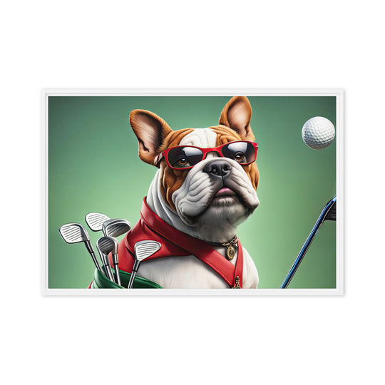 Bulldog Golfer- Framed canvas