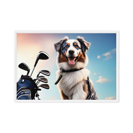 Australian Shepherd Golfer- Framed canvas