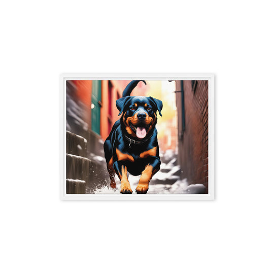 Rottweiler- Framed canvas v2