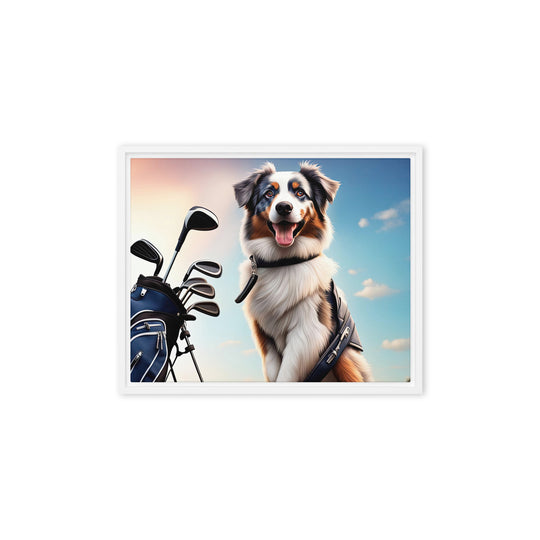 Australian Shepherd Golfer- Framed canvas