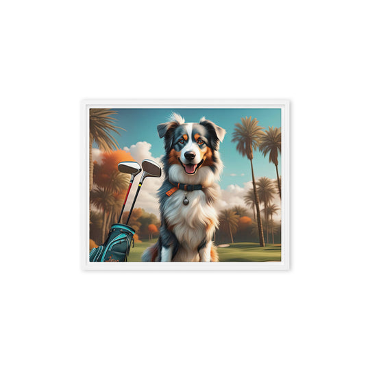 Australian Shepherd Golfer- Framed canvas v2