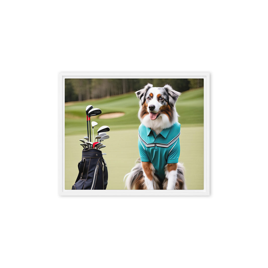 Australian Shepherd Golfer- Framed canvas v4