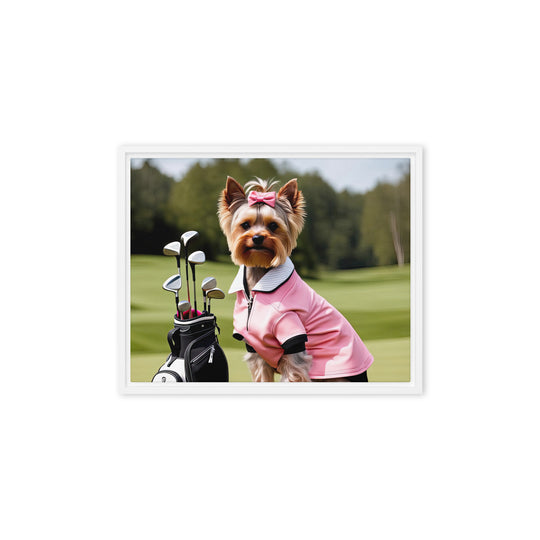 Yorkshire Terrier Golfer- Framed canvas v2