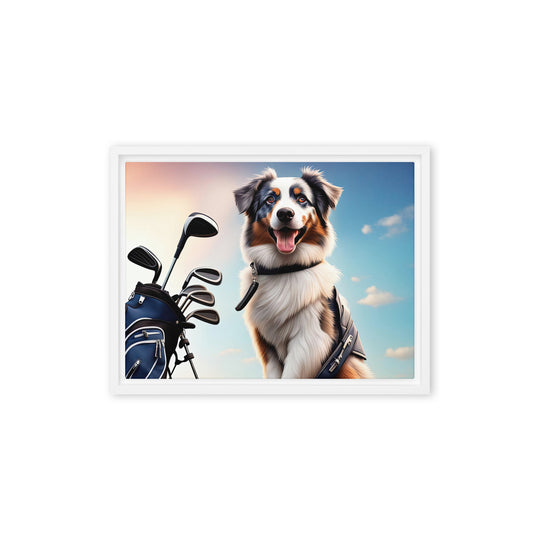 Australian Shepherd Golfer- Framed canvas