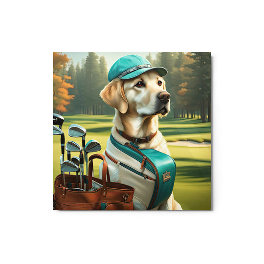 Metal prints-Labrador Retriever Golfer V10