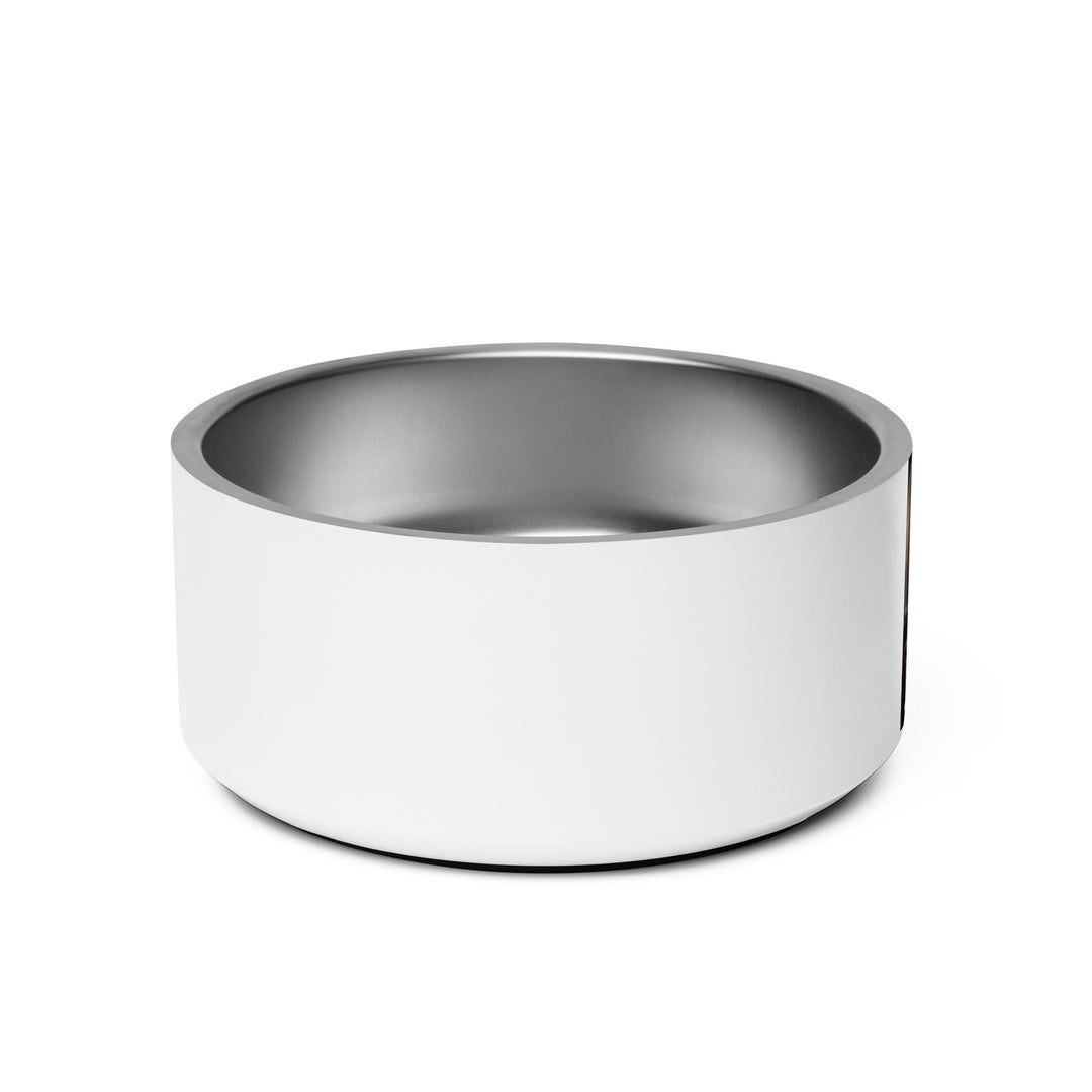 Beagle- Pet bowl