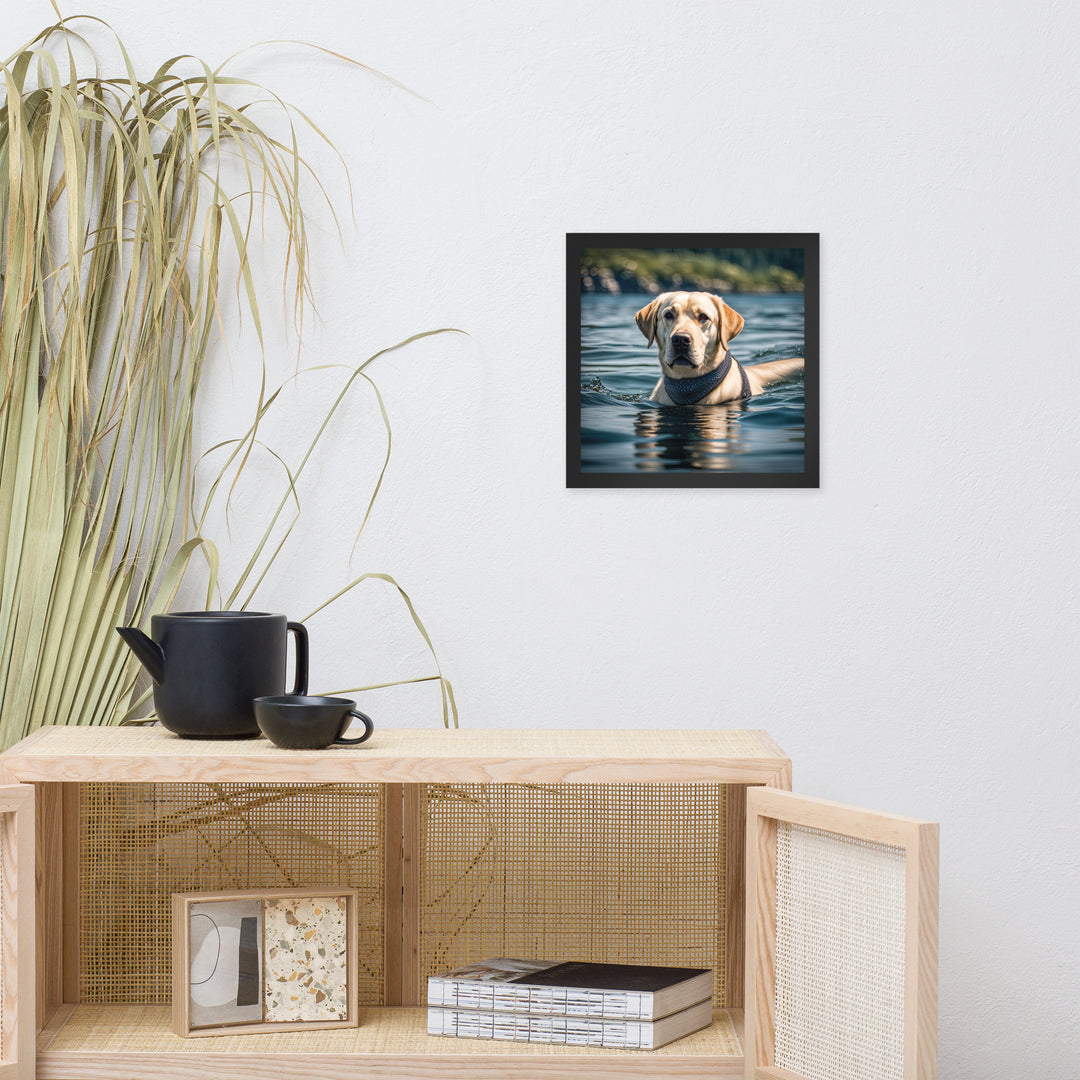 Framed photo paper poster-Labrador Retriever V3