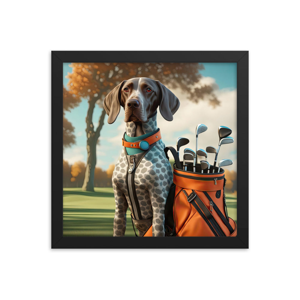 German Shorthaired Pointer Golfer- Framed photo paper poster