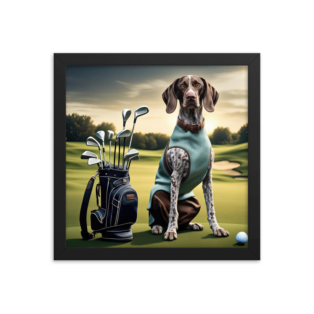 German Shorthaired Pointer Golfer- Framed photo paper poster v2