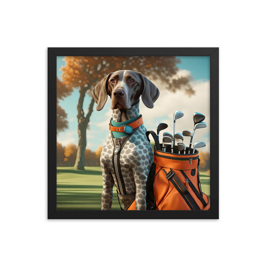 German Shorthaired Pointer Golfer- Framed photo paper poster