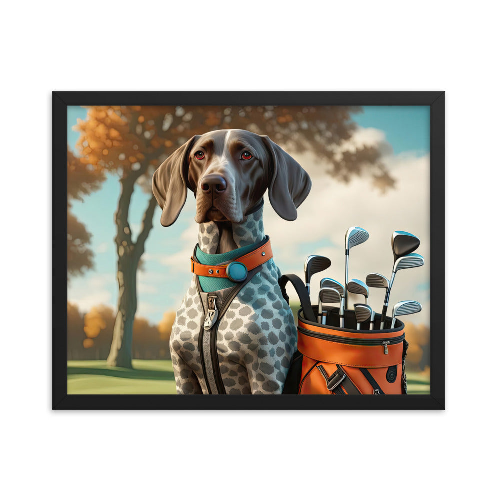 German Shorthaired Pointer Golfer- Framed photo paper poster