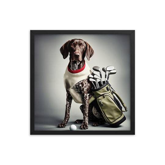 German Shorthaired Pointer Golfer- Framed photo paper poster v4