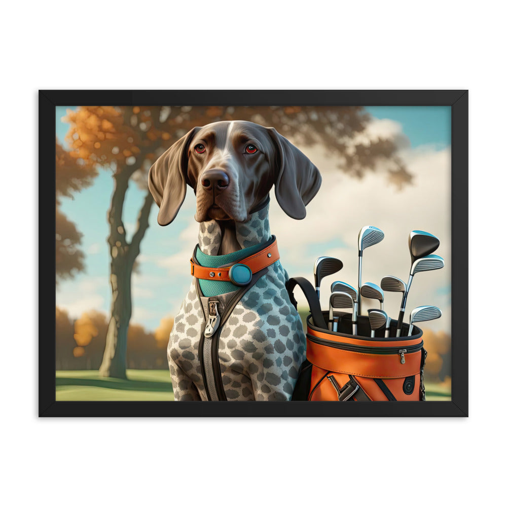 German Shorthaired Pointer Golfer- Framed photo paper poster