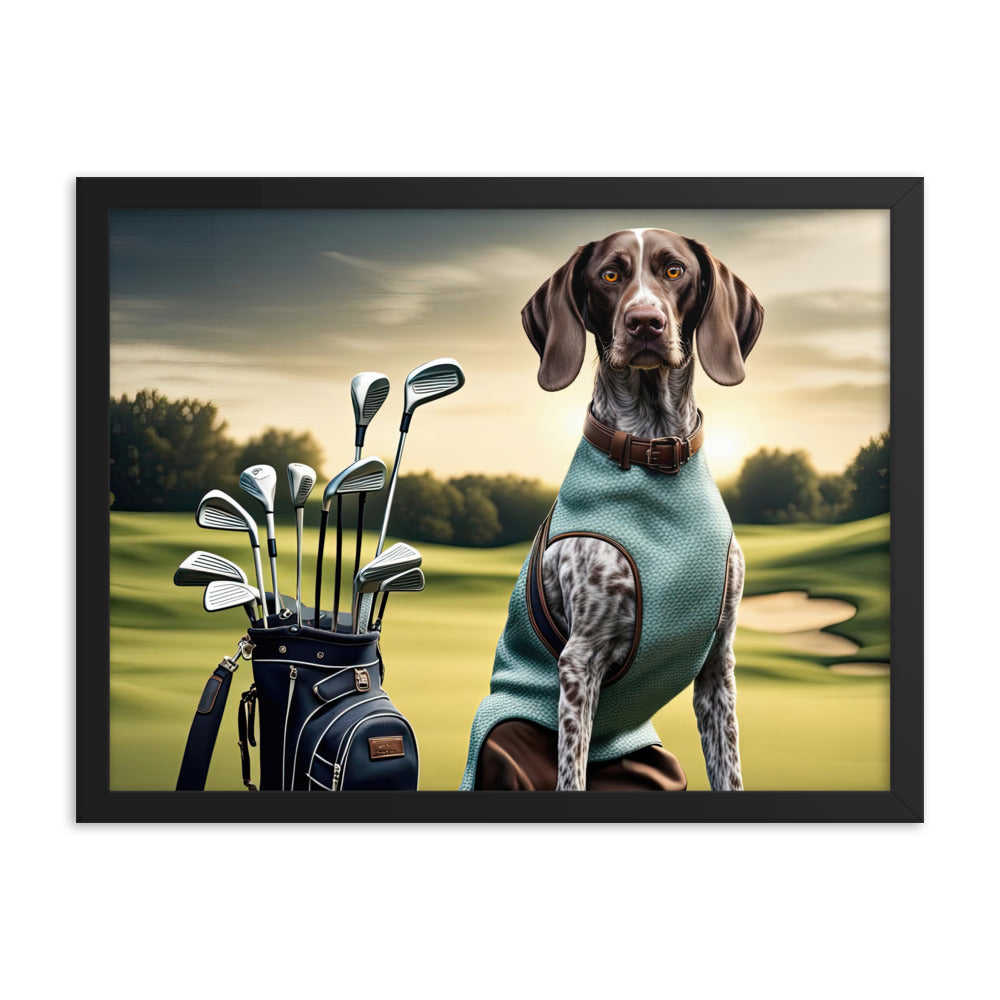 German Shorthaired Pointer Golfer- Framed photo paper poster v2