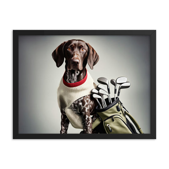 German Shorthaired Pointer Golfer- Framed photo paper poster v4