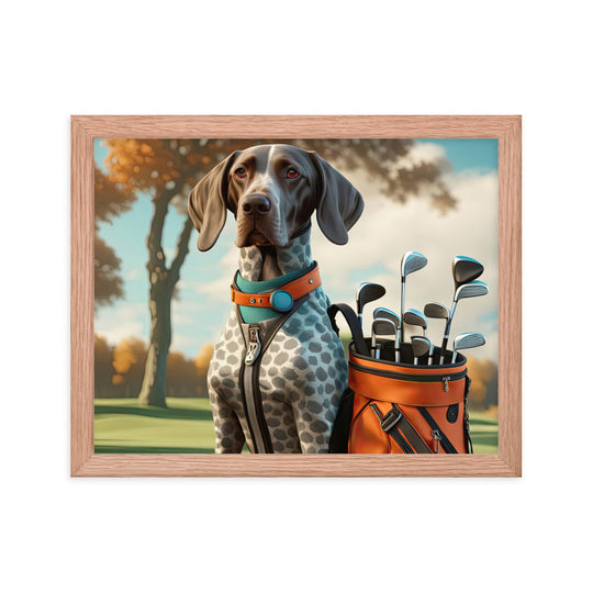 German Shorthaired Pointer Golfer- Framed photo paper poster