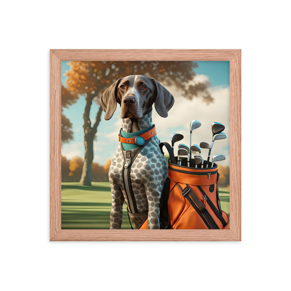 German Shorthaired Pointer Golfer- Framed photo paper poster