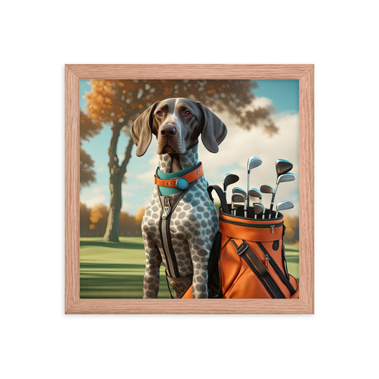 German Shorthaired Pointer Golfer- Framed photo paper poster