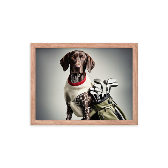 German Shorthaired Pointer Golfer- Framed photo paper poster v4