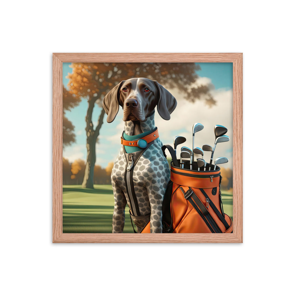 German Shorthaired Pointer Golfer- Framed photo paper poster