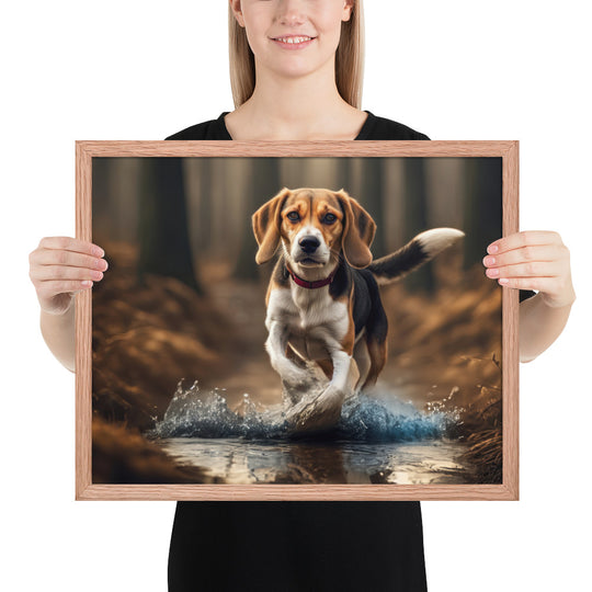 Beagle- Framed photo paper poster v3