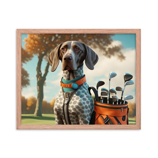 German Shorthaired Pointer Golfer- Framed photo paper poster