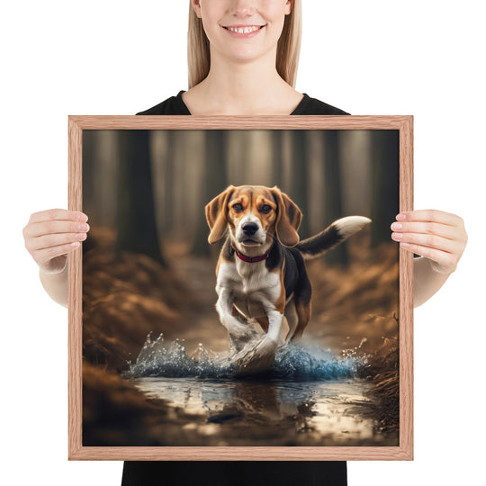 Beagle- Framed photo paper poster v3