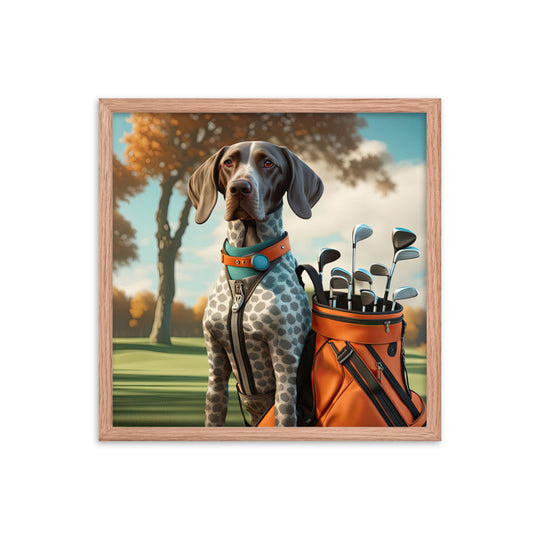 German Shorthaired Pointer Golfer- Framed photo paper poster