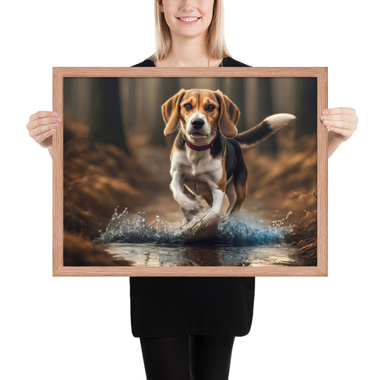 Beagle- Framed photo paper poster v3