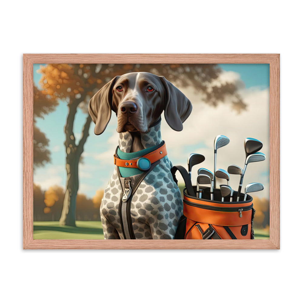 German Shorthaired Pointer Golfer- Framed photo paper poster