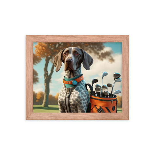 German Shorthaired Pointer Golfer- Framed photo paper poster