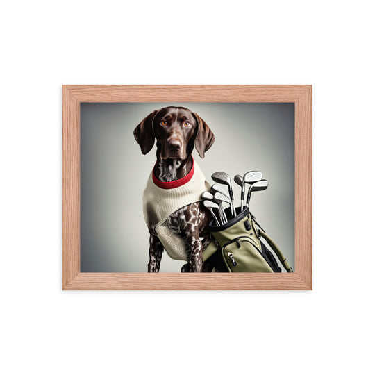 German Shorthaired Pointer Golfer- Framed photo paper poster v4