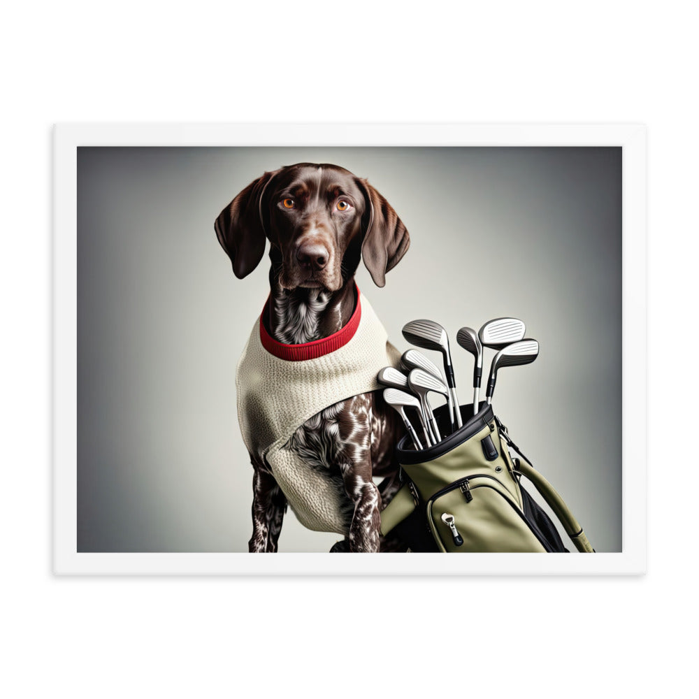 German Shorthaired Pointer Golfer- Framed photo paper poster v4