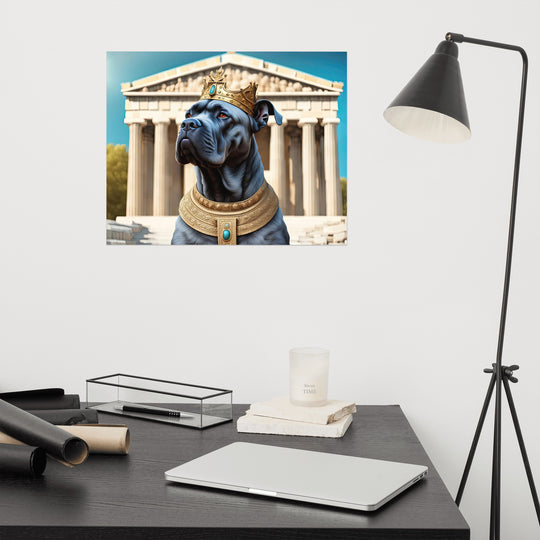 Photo paper poster-Cane Corso