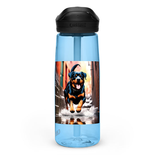 Rottweiler- Sports water bottle v2