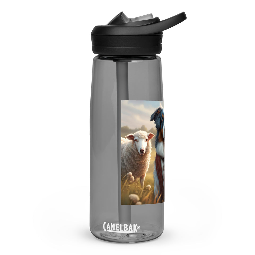 Australian Shepherd- Sports water bottle v4