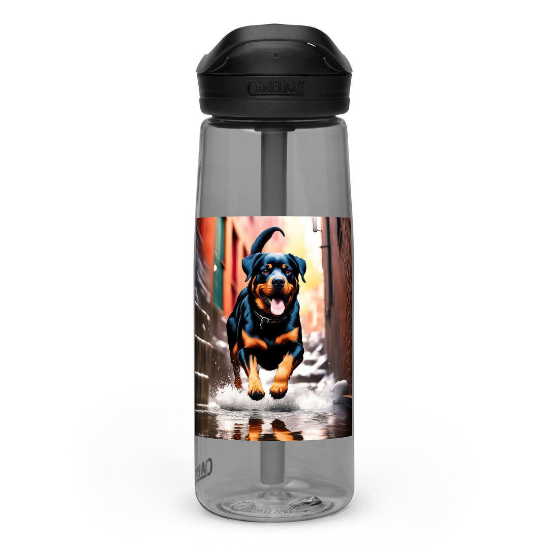 Rottweiler- Sports water bottle v2