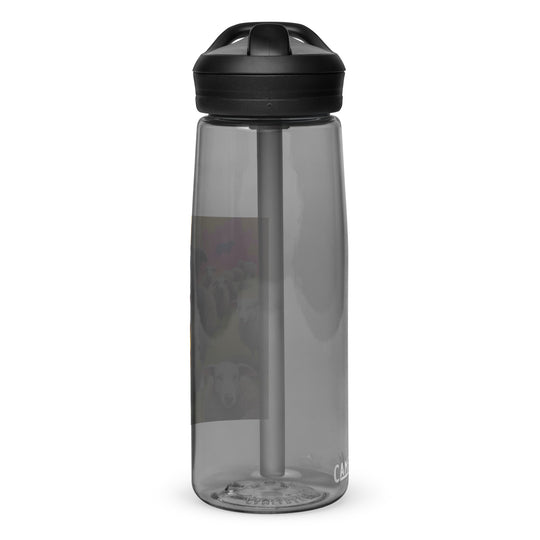 Australian Shepherd- Sports water bottle v2