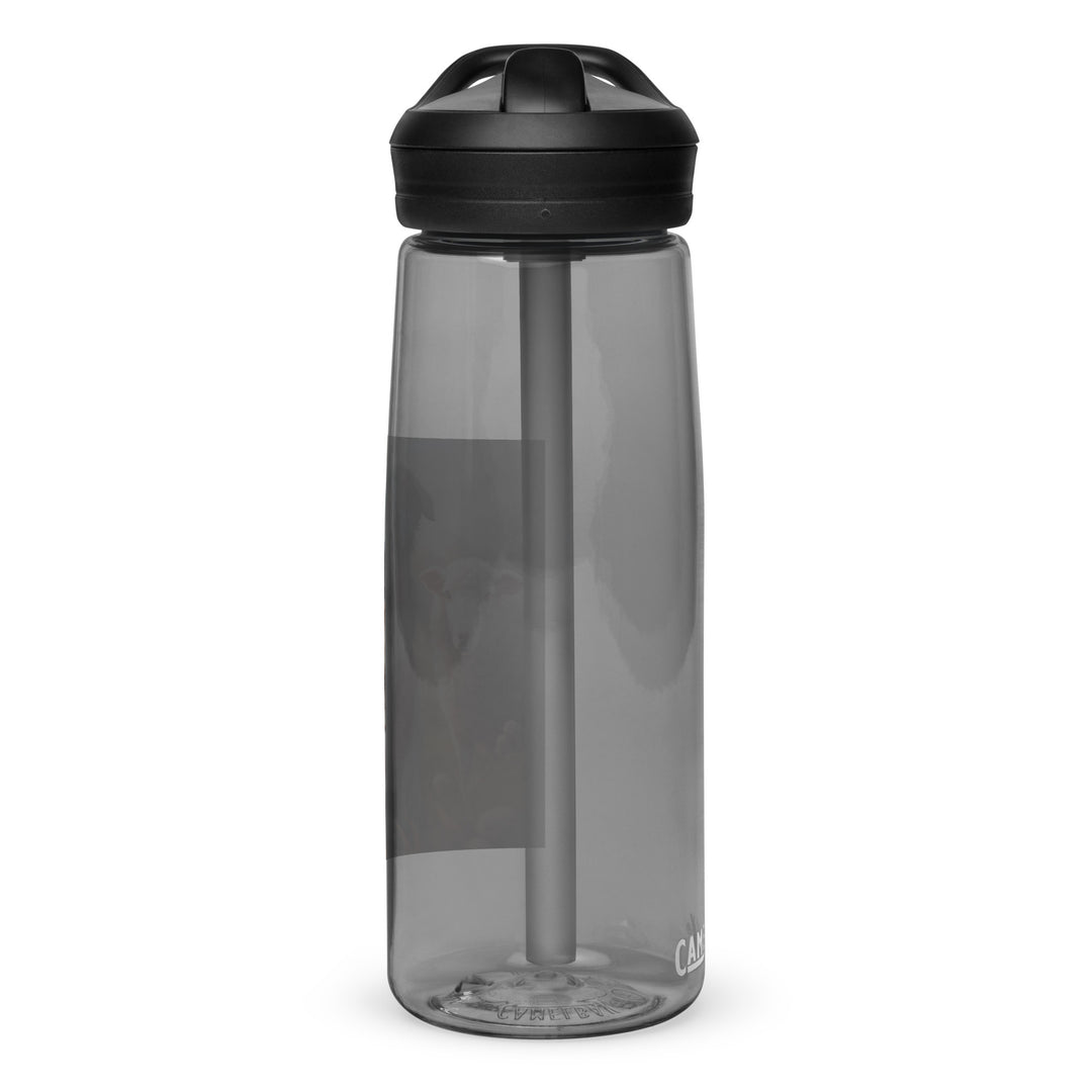 Australian Shepherd- Sports water bottle v4