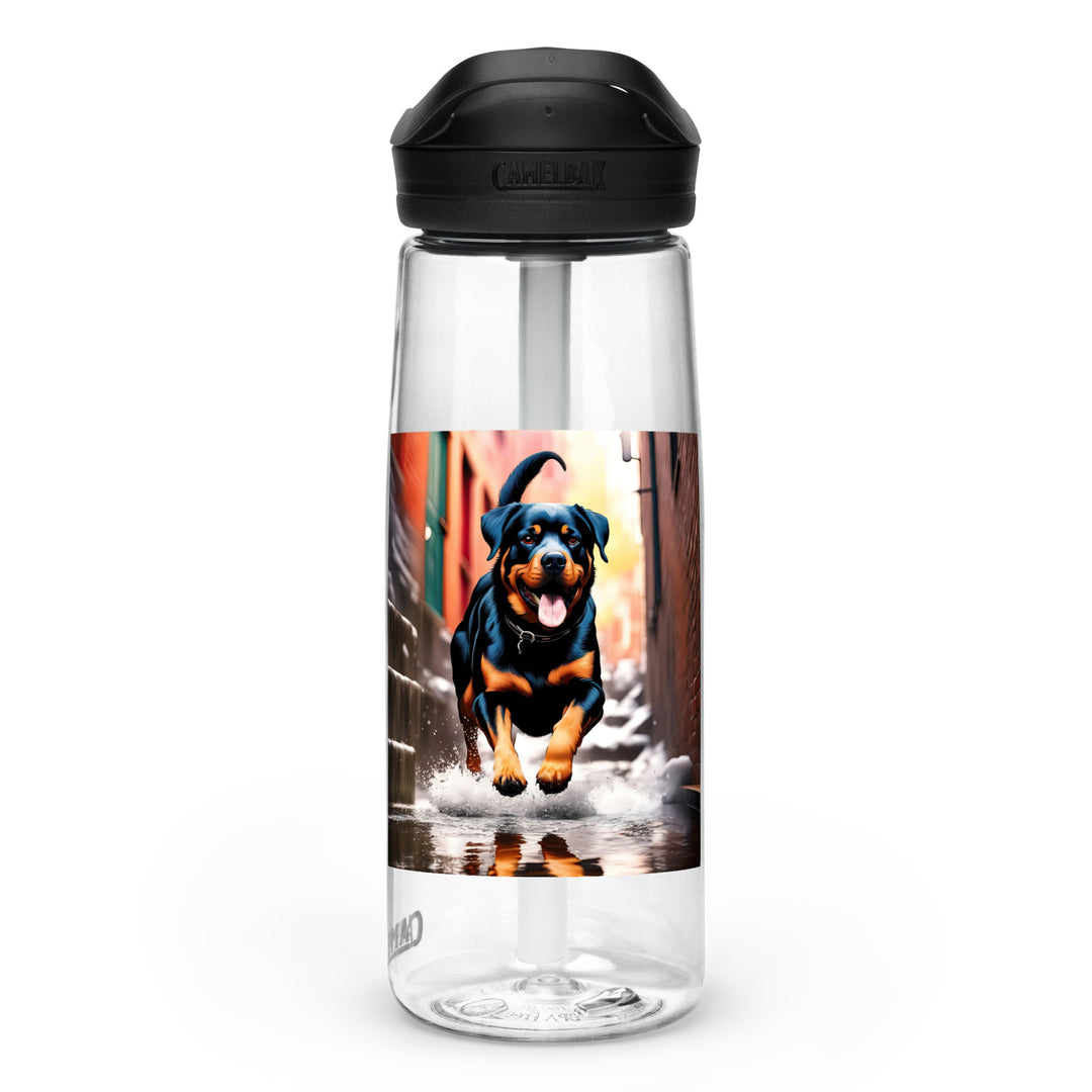 Rottweiler- Sports water bottle v2