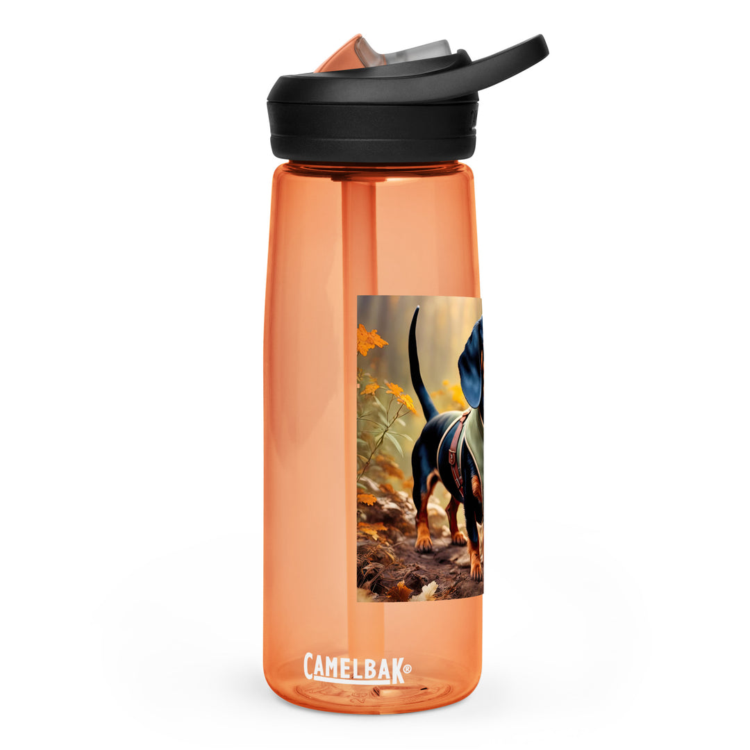 Dachshund- Sports water bottle v3